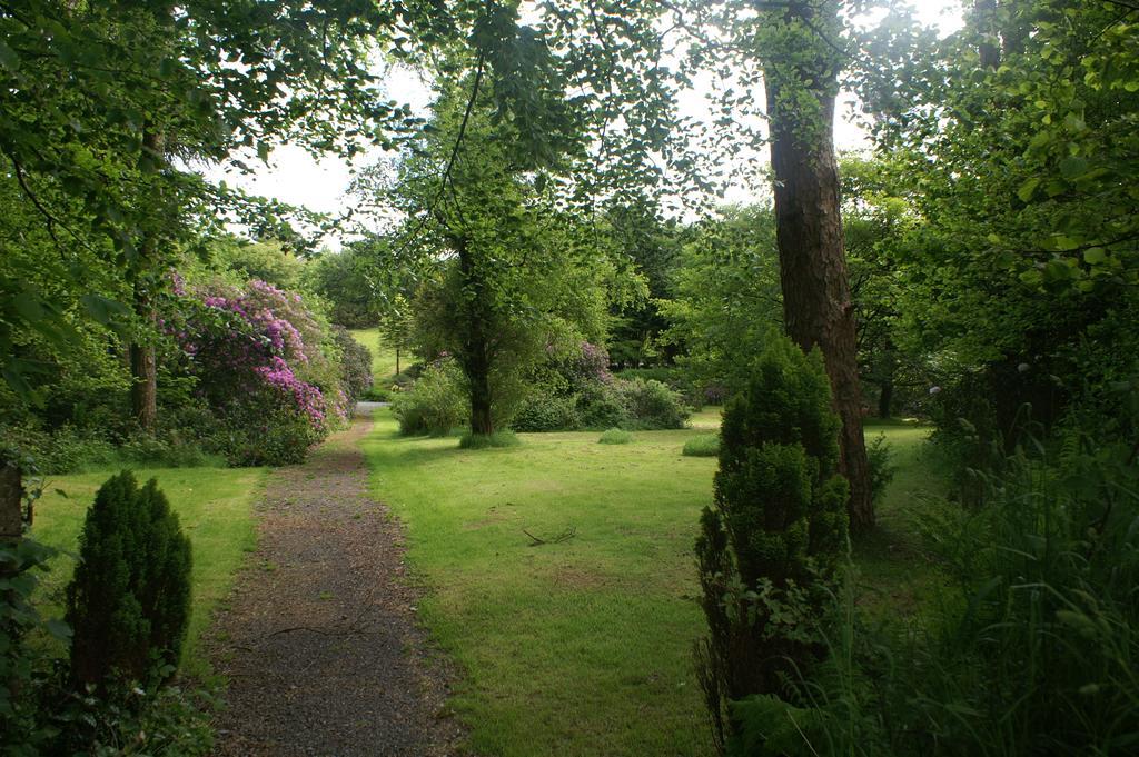 Moorlands Bed and Breakfast Parracombe Eksteriør billede
