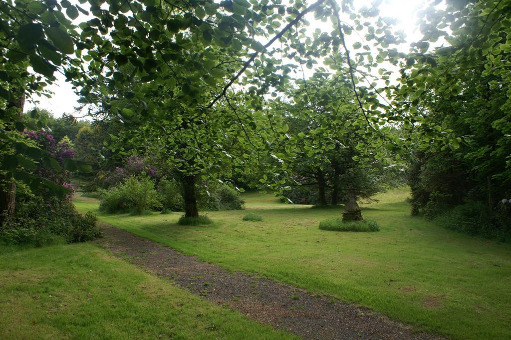Moorlands Bed and Breakfast Parracombe Eksteriør billede