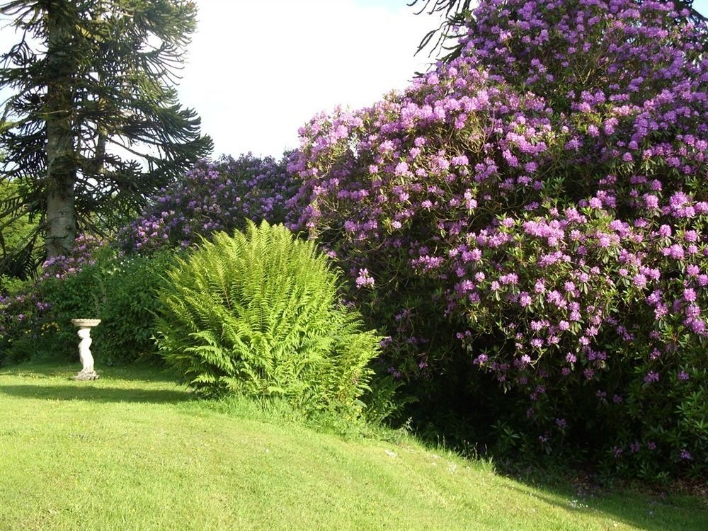Moorlands Bed and Breakfast Parracombe Eksteriør billede